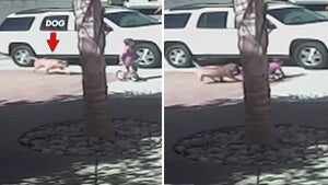 051414_cat_saves_boy_primary