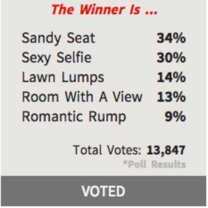 TMZ's Bangin' Backside Photo Contest -- The Final :: 0908-bangin-backside-poll-1