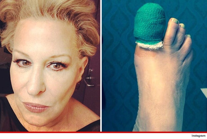 Bette Midler -- I Got Nailed In Texas and It :: 0502-bette-midler-instagram-4