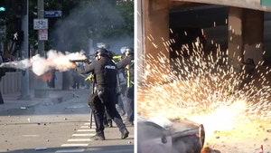 LA Chaos, Protests