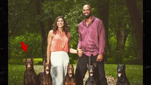 0514-hope-solo-doberman-ig-2