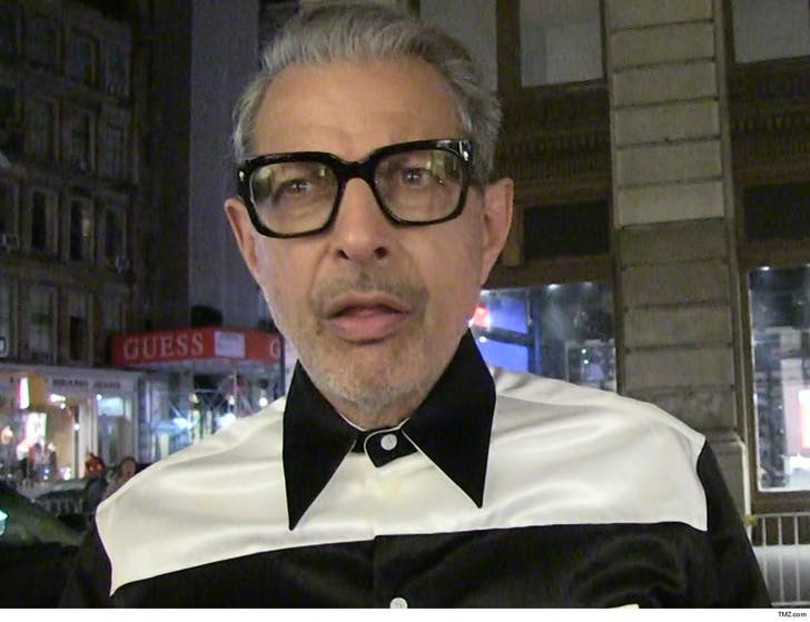 Jeff Goldblum Files Police Report Over Locker Theft in Hawaii :: 0429-jeff-goldblum-tmz-4