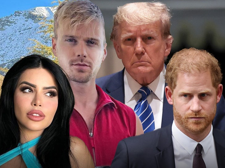 Donald Trump Prince Harry 90 Day main composite