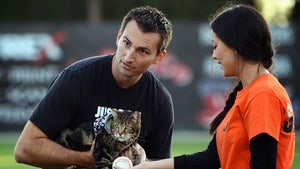 0520-hero-cat-baseball-03
