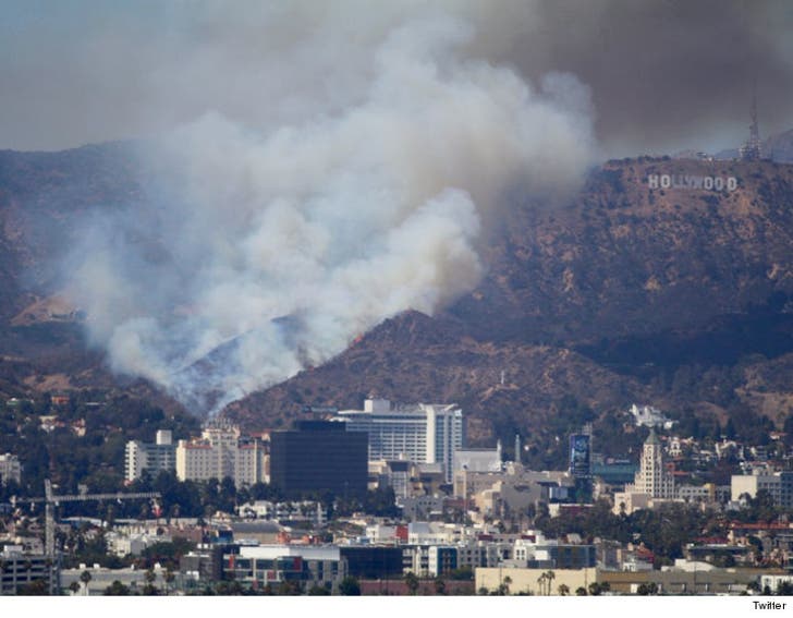Hollywood -- Brush Fire Burning in Shadow of Famed Sign :: 0729-hollywood-sign-fire-twitter-4