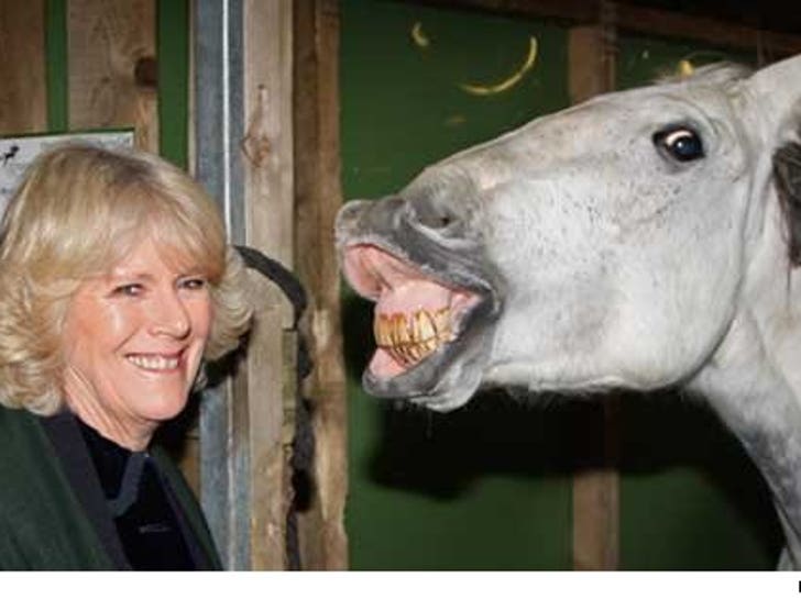 Camilla Parker Bowles