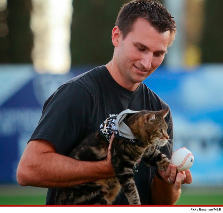 TMZ Caption-O-Rama Contest -- NAME THAT CAT For UFC Tickets :: 0521-hero-cat-ricky-bassman-3