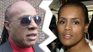 1006-stevie-wonder-divorce-TMZ-GETTY-01