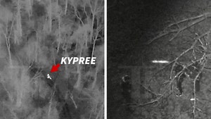 Kid Kypree