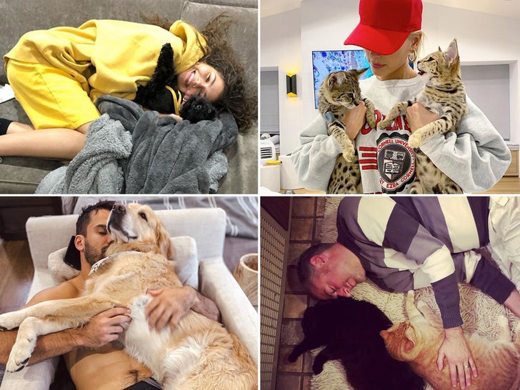 Celebs Cuddling Furry Friends