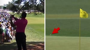 Tiger Woods