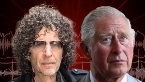 howard-stern-audio-3