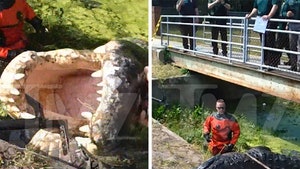 Gator