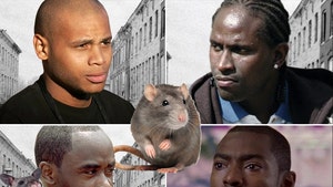 wire cast rats